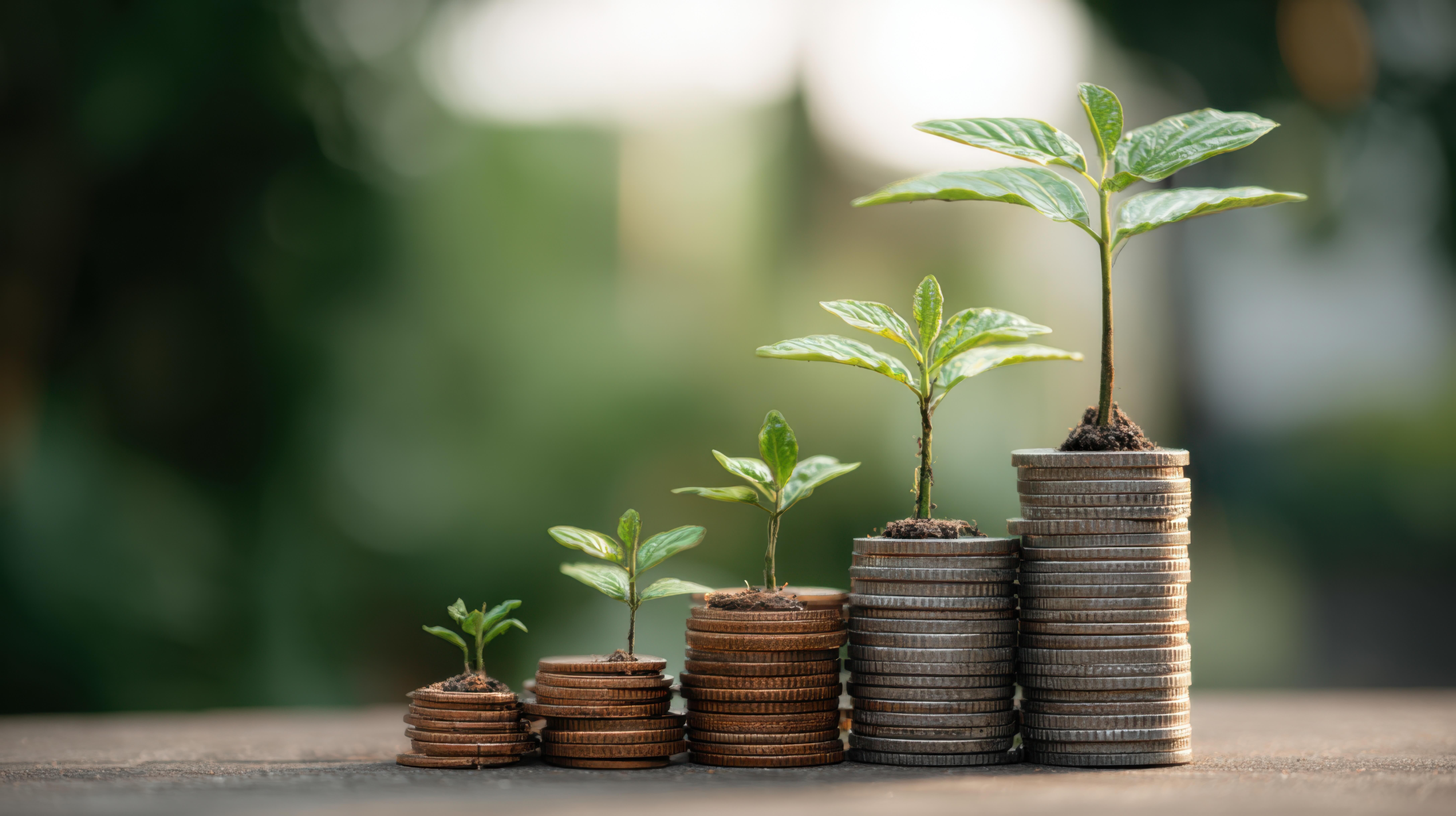 New Build Incentives Explained: Every Type of Deal UK Developers Offer